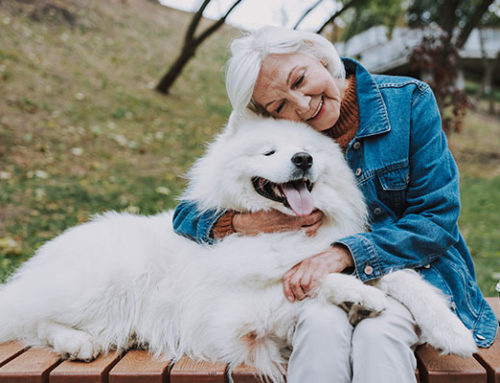 Providing for Pets in Your Estate Plan By: Allyson S. Heller