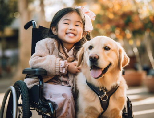Special Needs Trusts Part 2: Selecting a Trustee